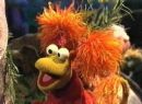 Fraggle